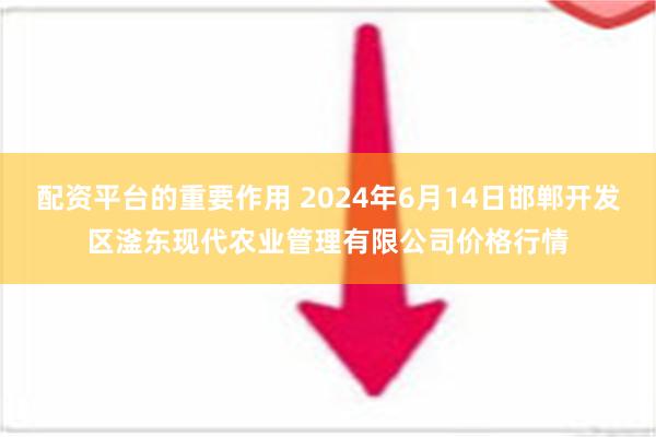 配资平台的重要作用 2024年6月14日邯郸开发区滏东现代农业管理有限公司价格行情