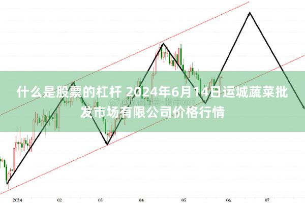 什么是股票的杠杆 2024年6月14日运城蔬菜批发市场有限公司价格行情