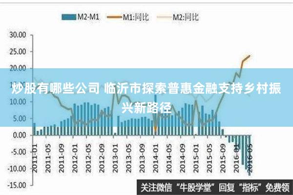 炒股有哪些公司 临沂市探索普惠金融支持乡村振兴新路径