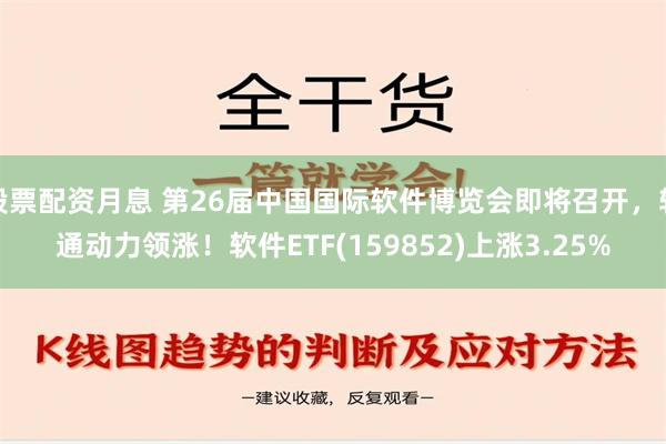 股票配资月息 第26届中国国际软件博览会即将召开，软通动力领涨！软件ETF(159852)上涨3.25%