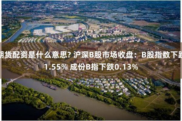 期货配资是什么意思? 沪深B股市场收盘：B股指数下跌1.55% 成份B指下跌0.13%