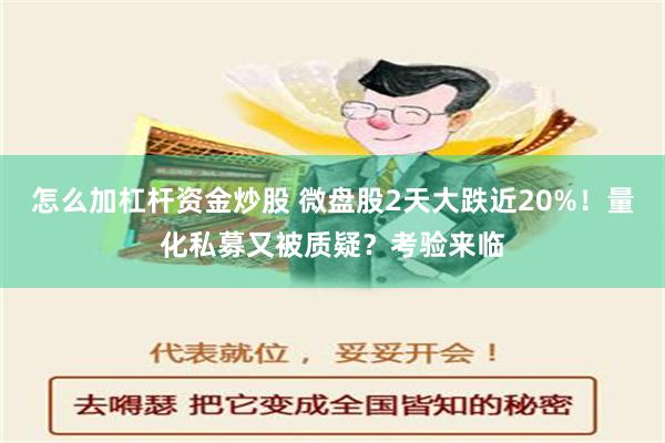 怎么加杠杆资金炒股 微盘股2天大跌近20%！量化私募又被质疑？考验来临