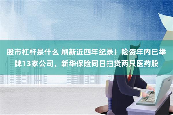 股市杠杆是什么 刷新近四年纪录！险资年内已举牌13家公司，新华保险同日扫货两只医药股