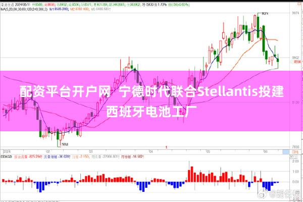 配资平台开户网  宁德时代联合Stellantis投建西班牙电池工厂