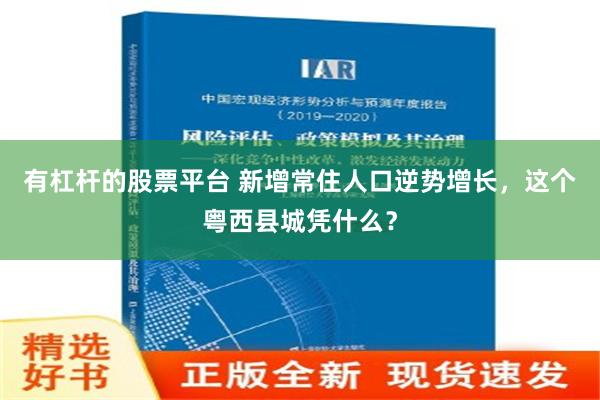 有杠杆的股票平台 新增常住人口逆势增长，这个粤西县城凭什么？